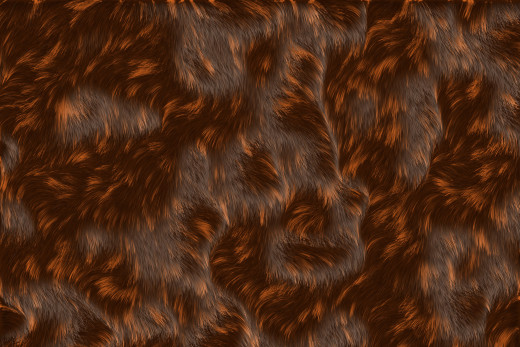 1467204 (a): :3000x2000